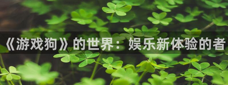 天美娱乐注册地址：《游戏狗》的世界：娱乐新体验的者