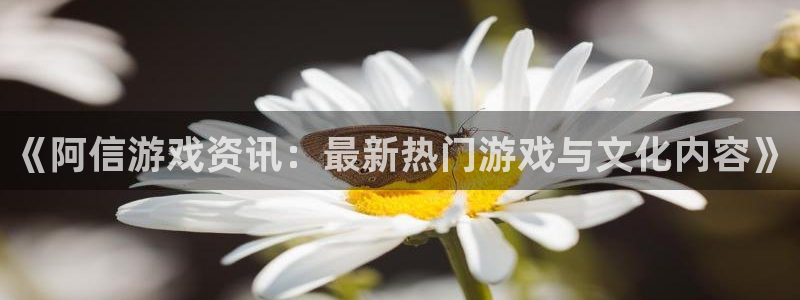 天美娱乐网页登录入口官网：《阿信游戏资讯：最新热门游戏与文化