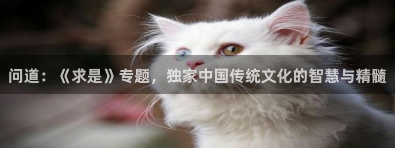 天美娱乐主管：问道：《求是》专题，独家中国传统文化的智慧与精