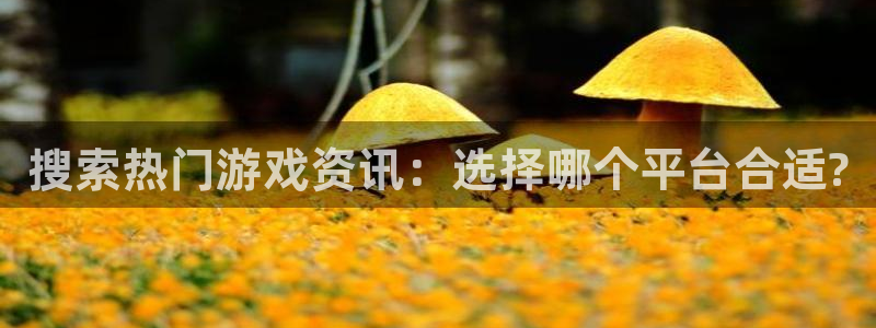 天美娱乐登录：搜索热门游戏资讯：选择哪个平台合适?