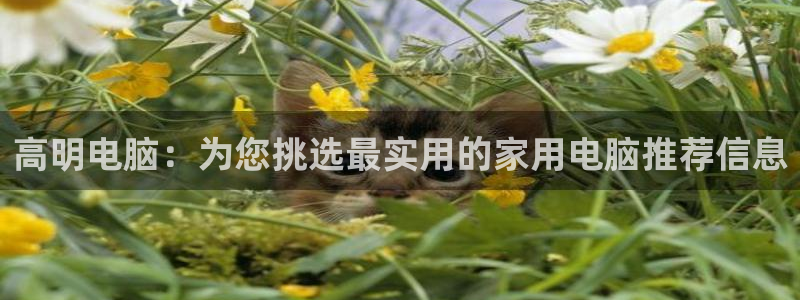 天美娱乐app下载地址：高明电脑：为您挑选最实用的家用电脑推