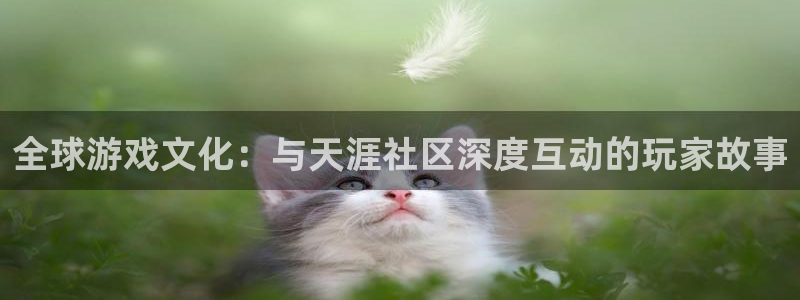 天美娱乐平台官网客服电话：全球游戏文化：与天涯社区深度互动的